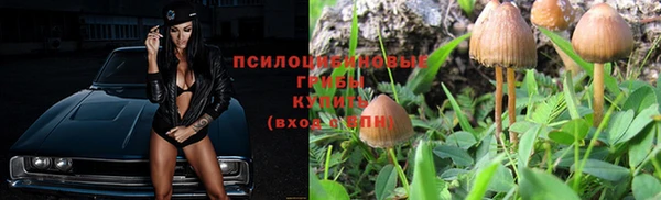 шишки Осташков