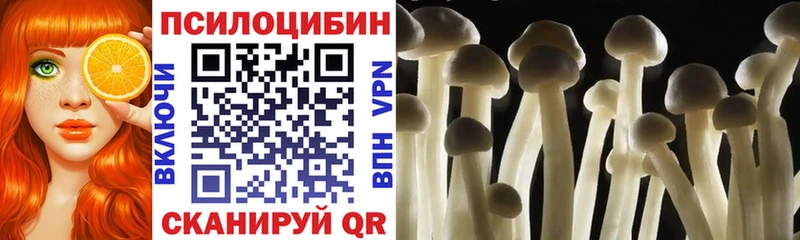 Псилоцибиновые грибы Psilocybine cubensis  наркота  маркетплейс формула  Хвалынск 